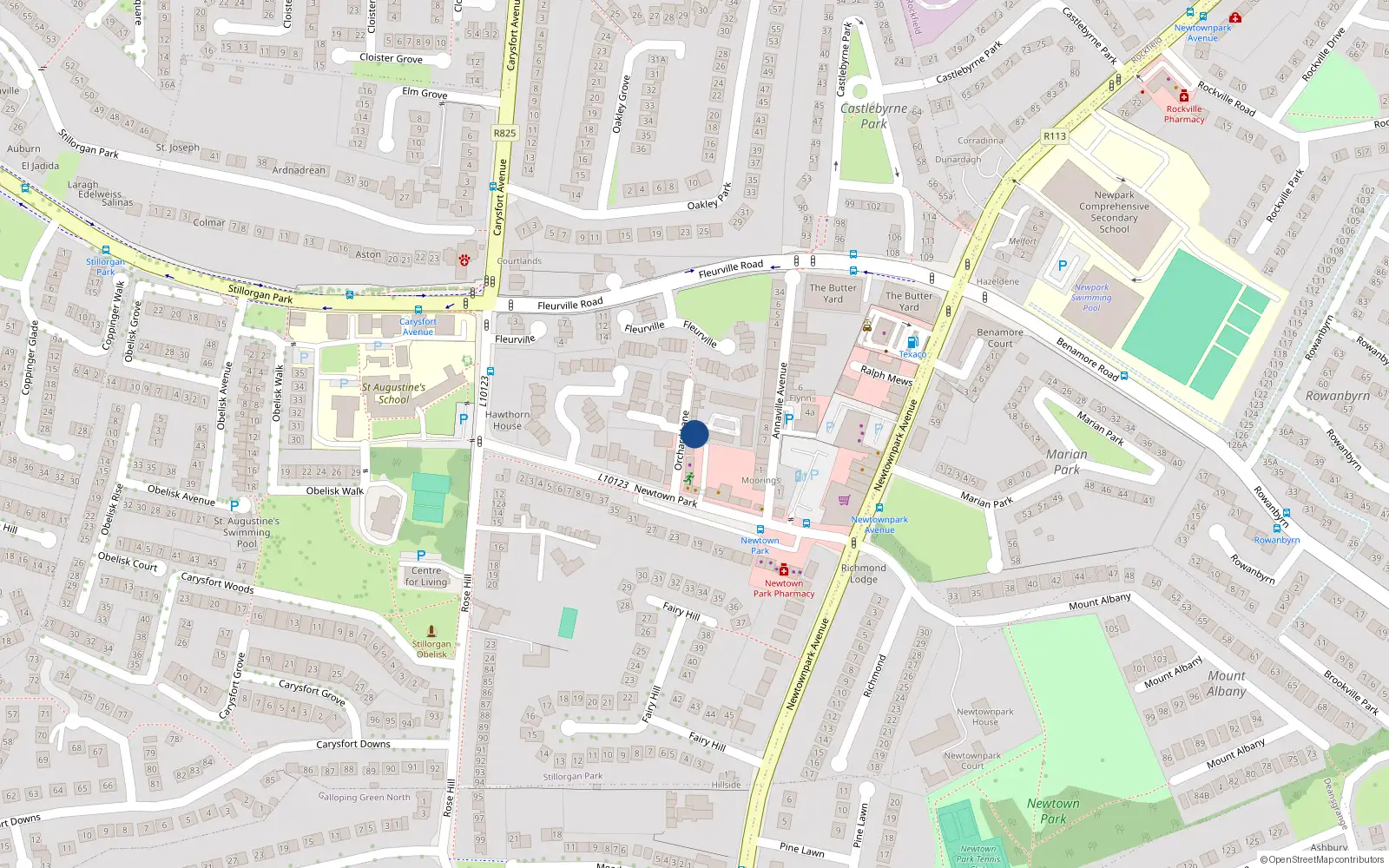 Overhead map showing the location of Orchard Lane, Blackrock