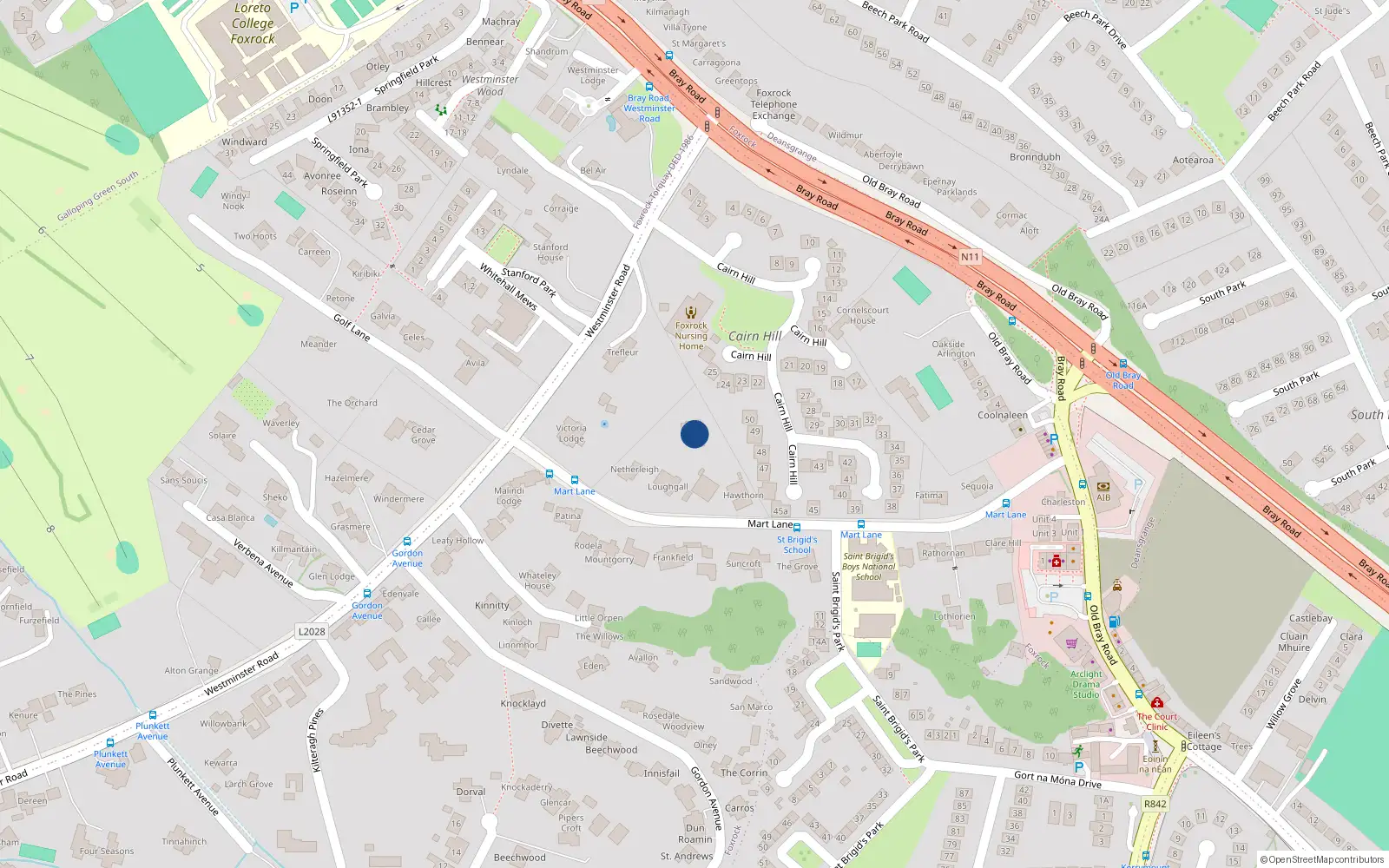 Overhead map showing the location of Mart Lane, Foxrock