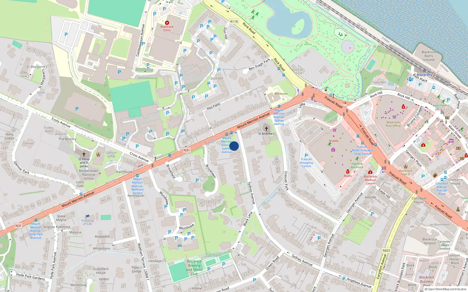 Overhead map showing the location of 56 Sydney Avenue, Blackrock