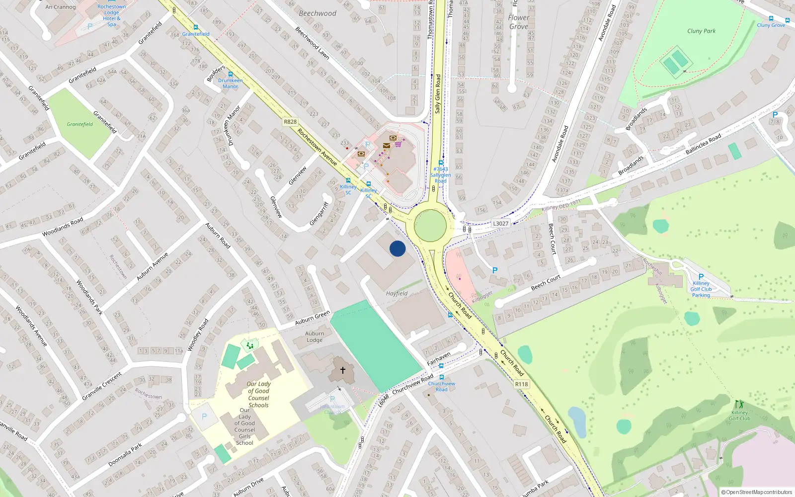 Overhead map showing the location of Rochestown Avenue, Killiney