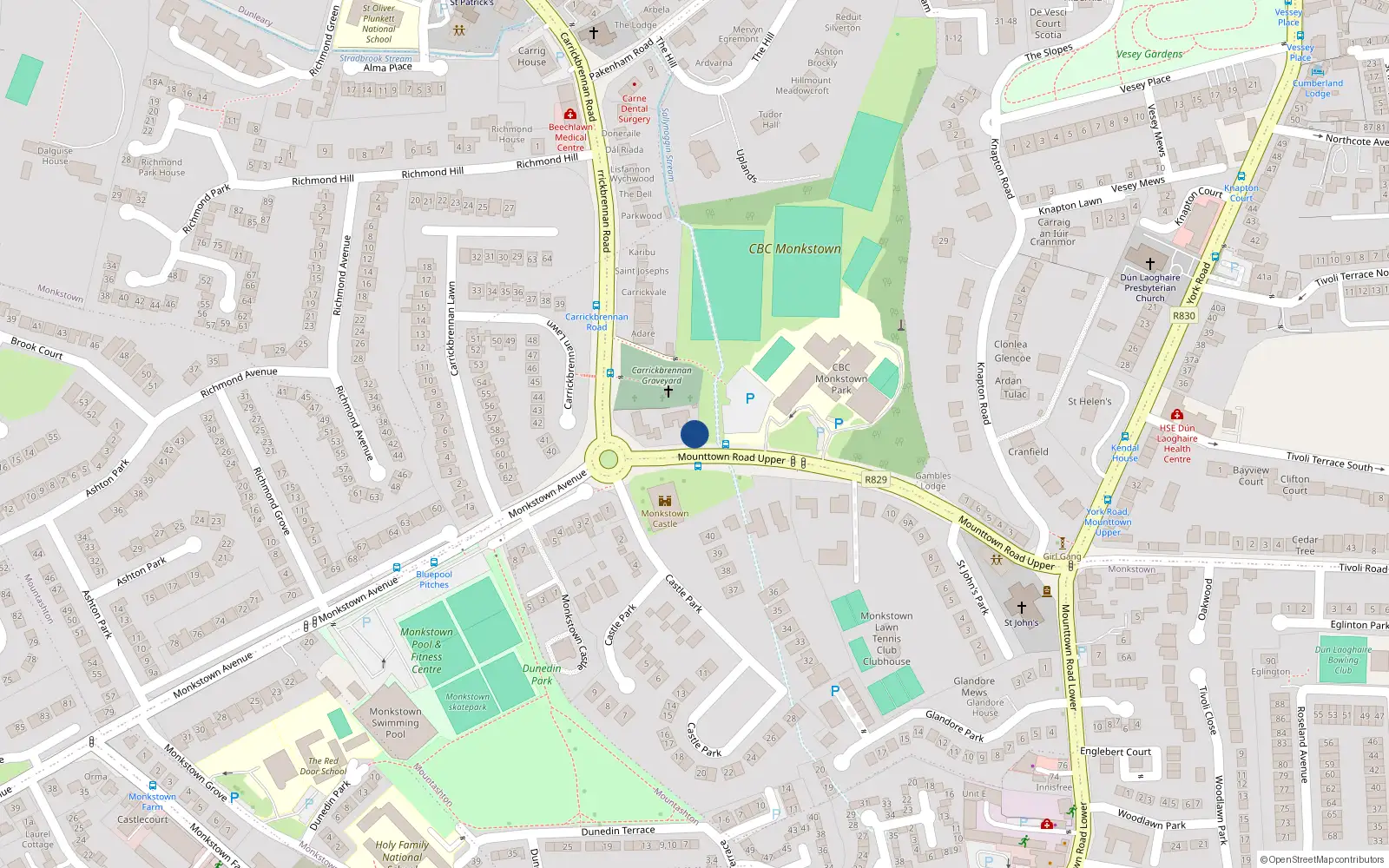 Overhead map showing the location of 11 Mounttown Road Upper, Monkstown