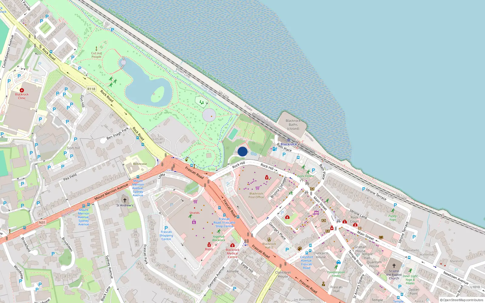 Overhead map showing the location of Rock Hill, Blackrock