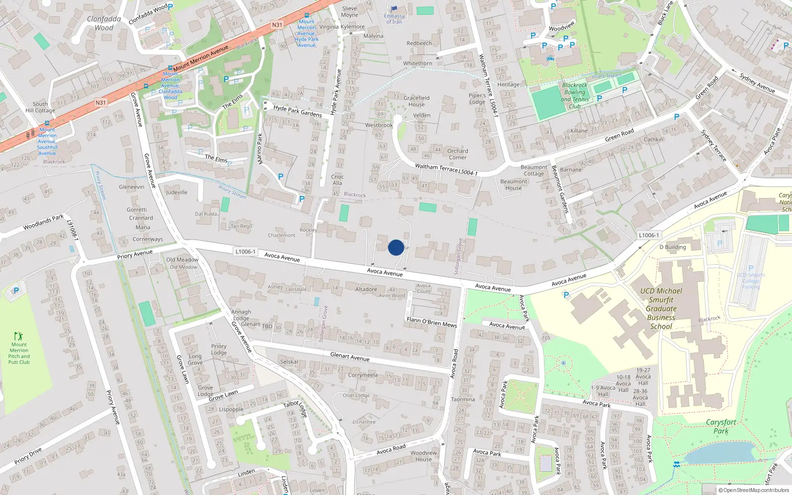Overhead map showing the location of Avoca Avenue, Blackrock