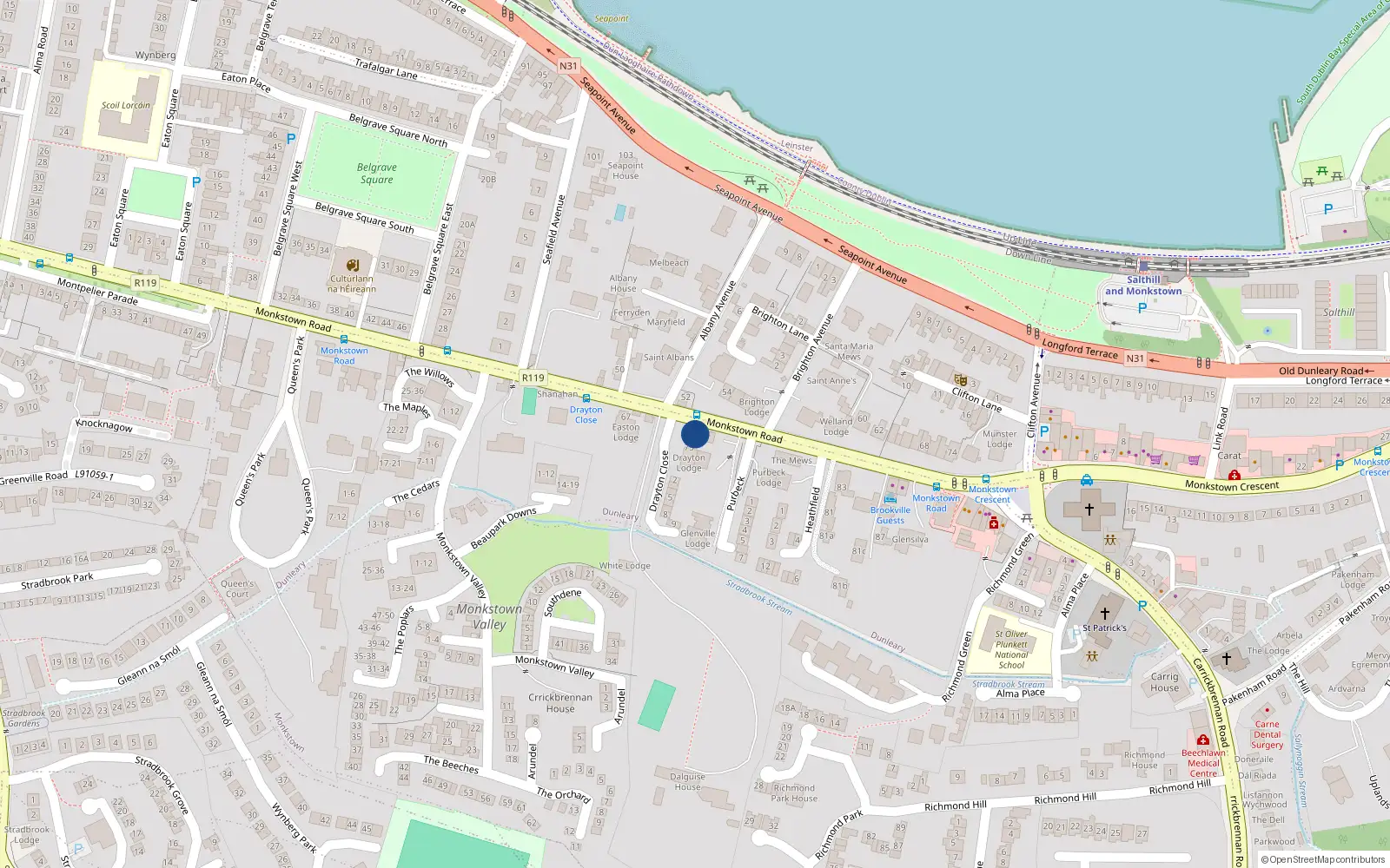 Overhead map showing the location of Monkstown Road, Monkstown