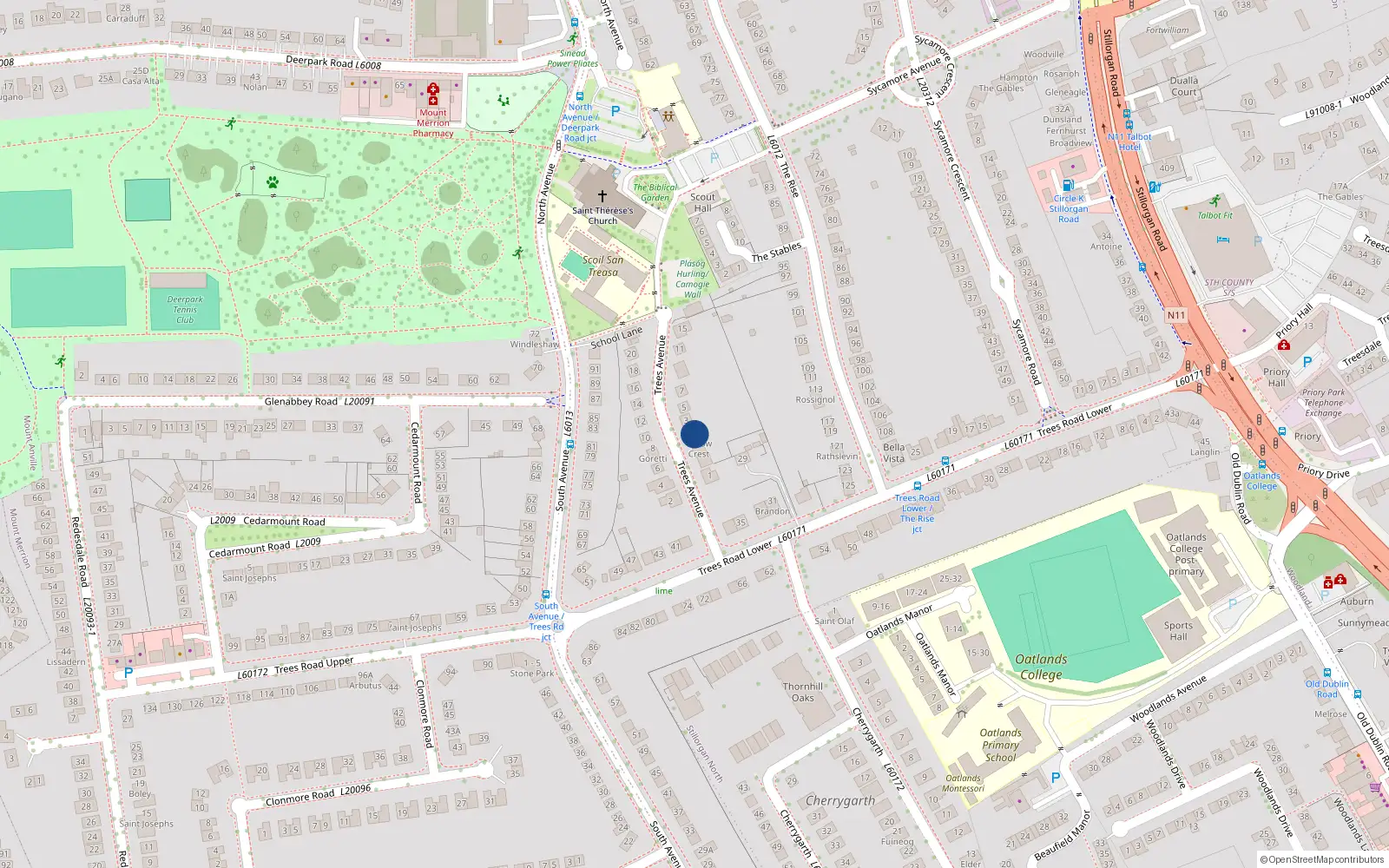Overhead map showing the location of Trees Avenue, Blackrock