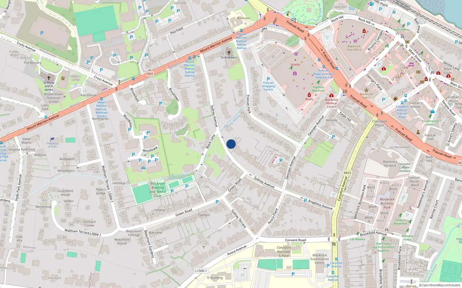 Overhead map showing the location of 29 Sydney Avenue, Blackrock