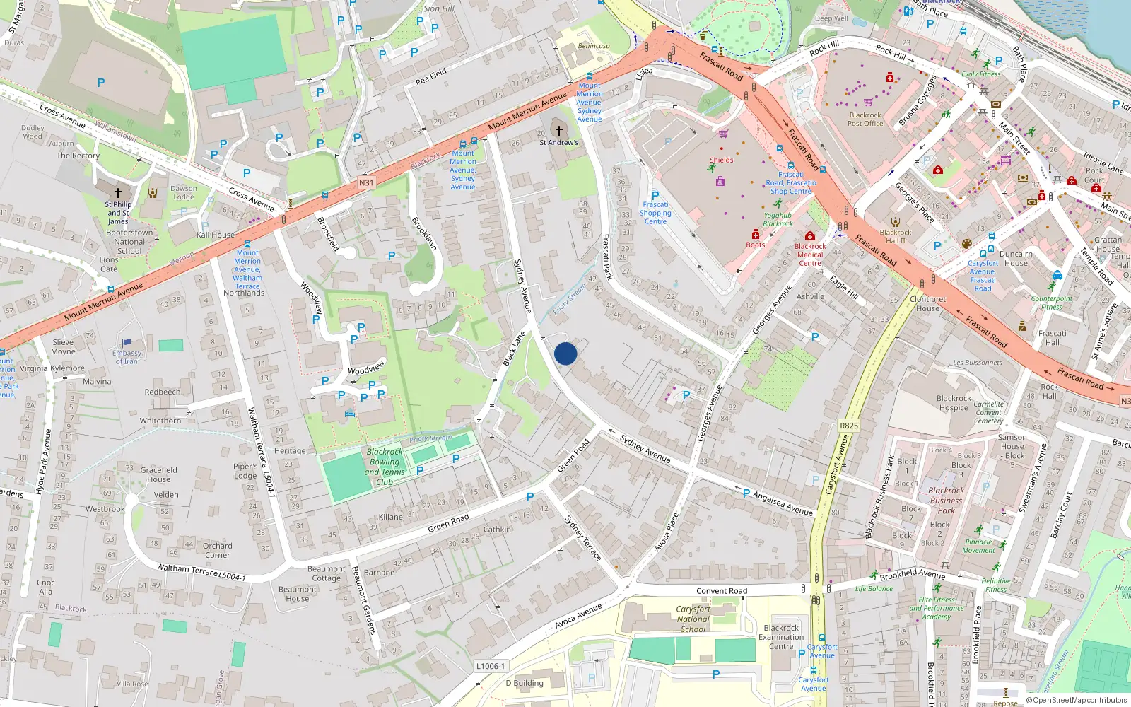 Overhead map showing the location of 29 Sydney Avenue, Blackrock