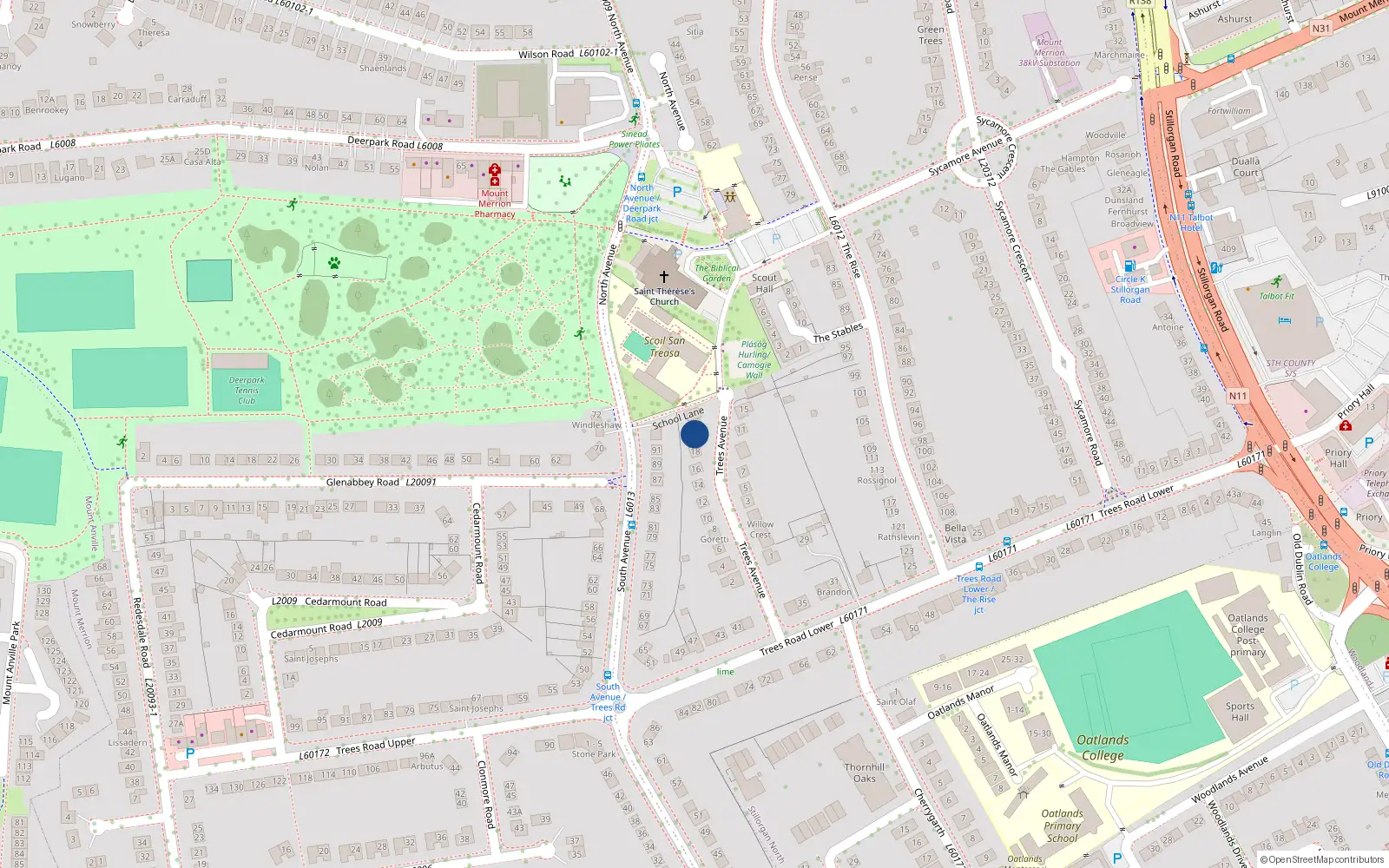 Overhead map showing the location of 20 Trees Avenue, Blackrock