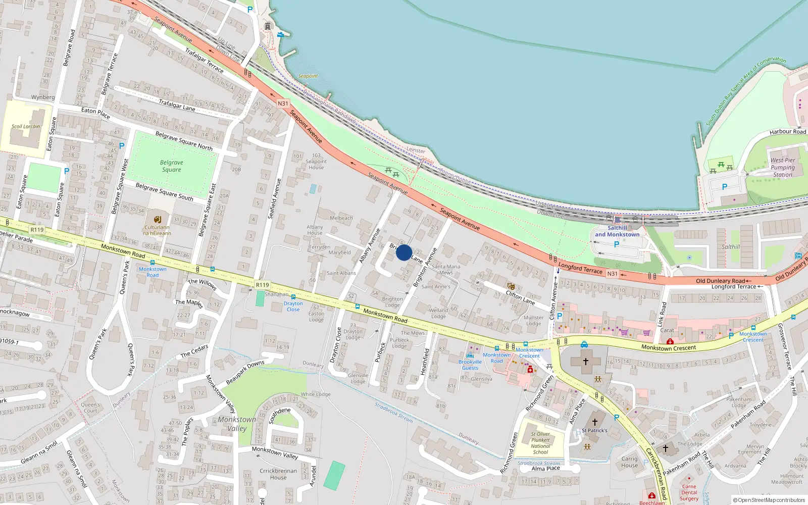 Overhead map showing the location of Brighton Lane, Monkstown