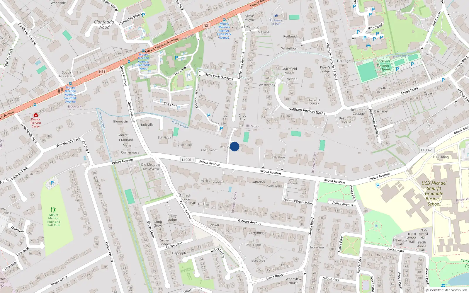 Overhead map showing the location of Avoca Avenue, Blackrock