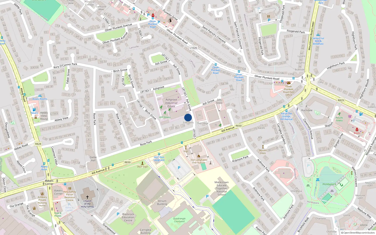 Overhead map showing the location of Kill Of The Grange, Dublin, Co. Dublin