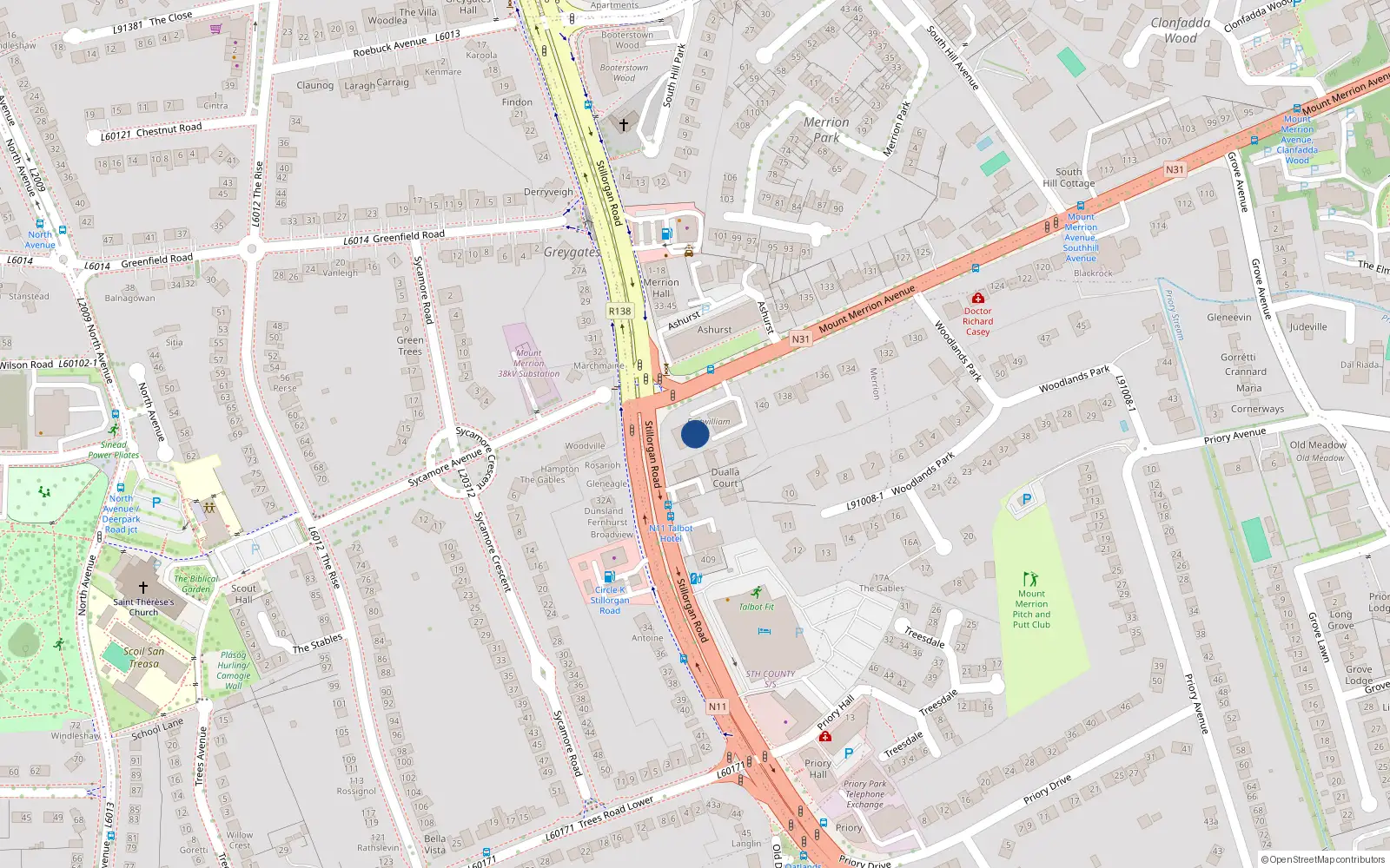 Overhead map showing the location of Mount Merrion Avenue, Blackrock