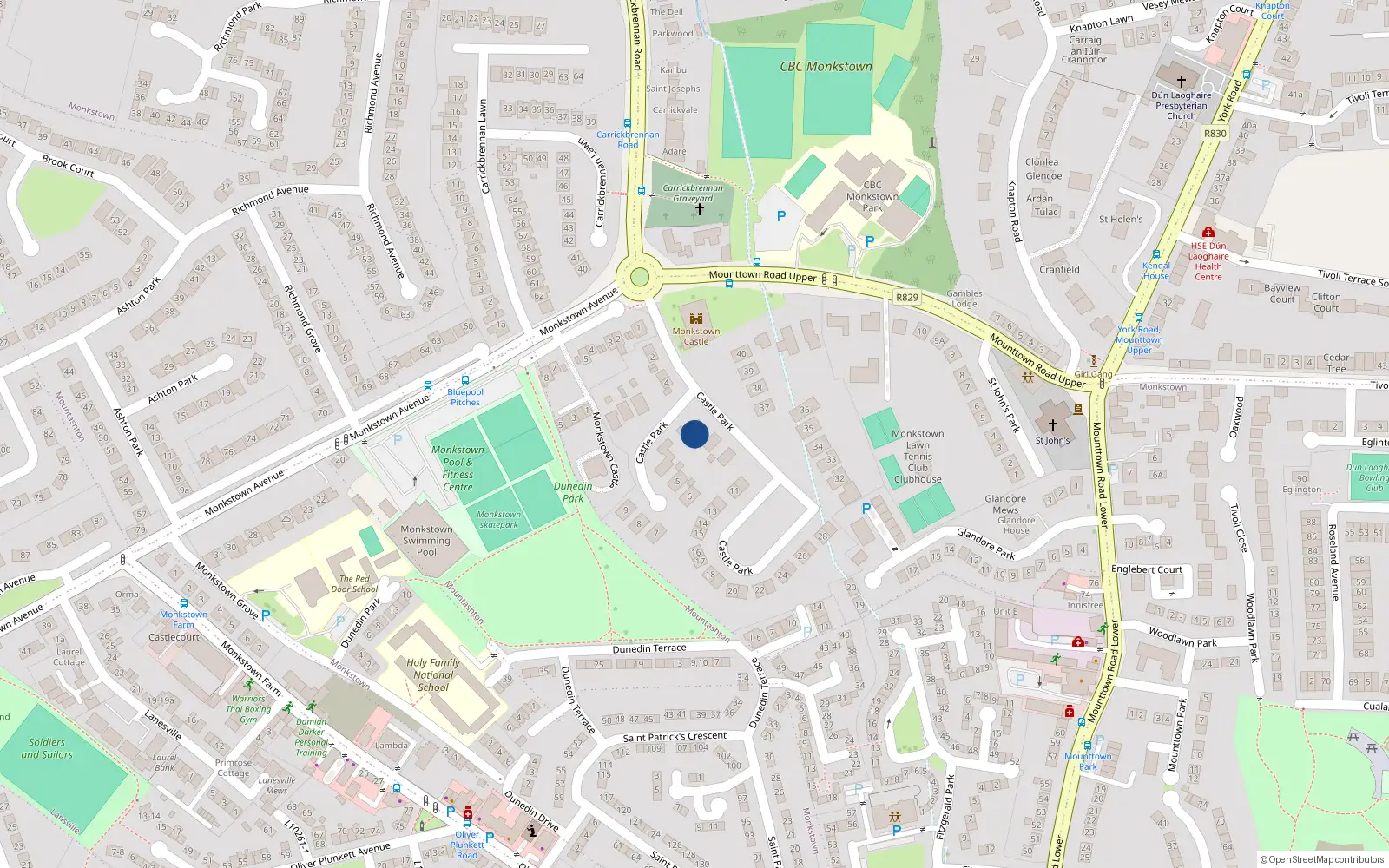 Overhead map showing the location of 3 Castle Park, Monkstown