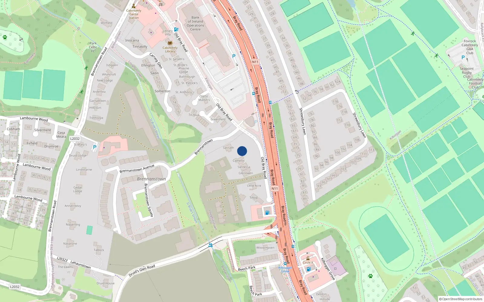 Overhead map showing the location of Bray Road, Cabinteely