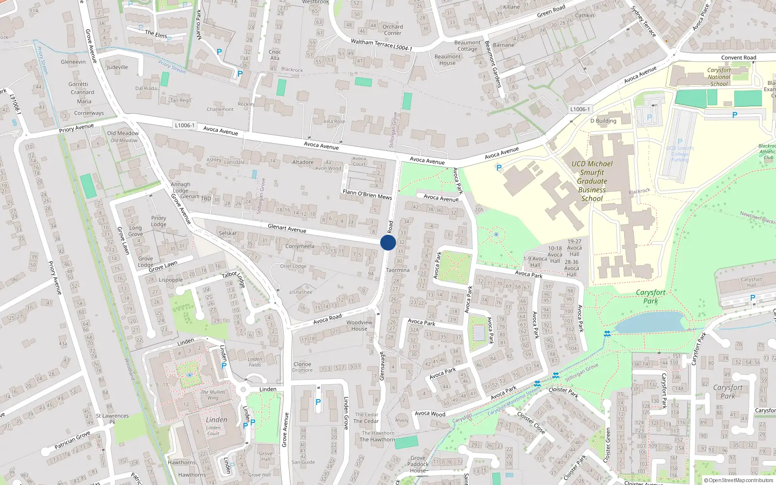 Overhead map showing the location of Avoca Road, Blackrock