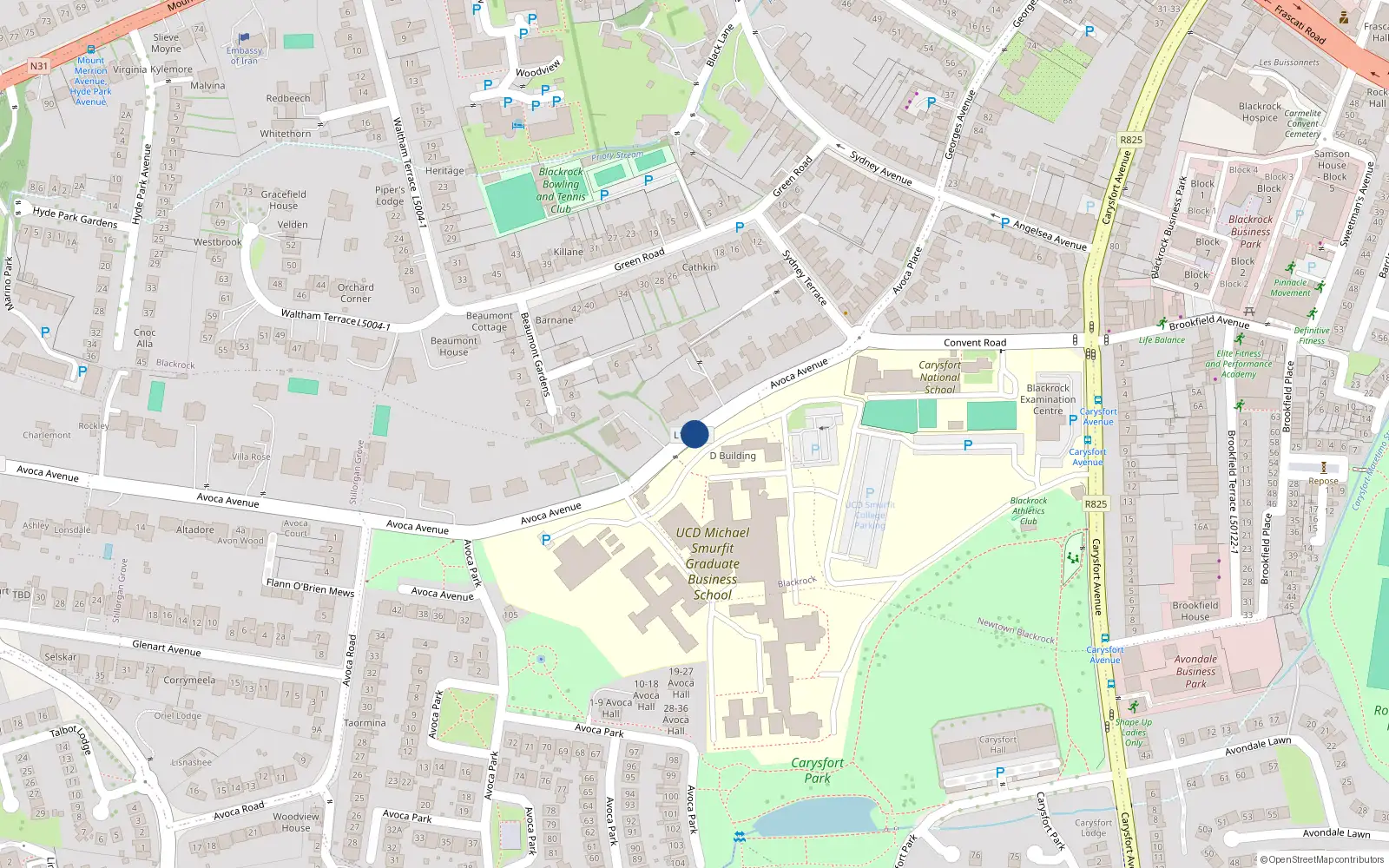 Overhead map showing the location of Avoca Avenue, Blackrock