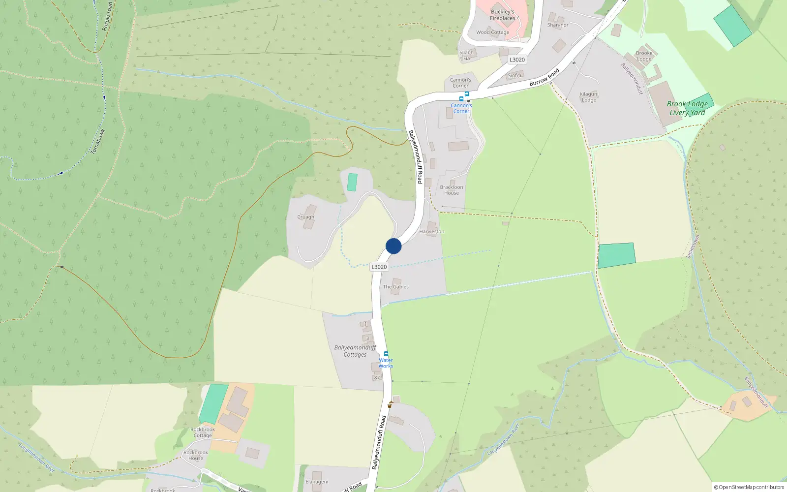 Overhead map showing the location of Ballyedmonduff Road, Ballyedmonduff