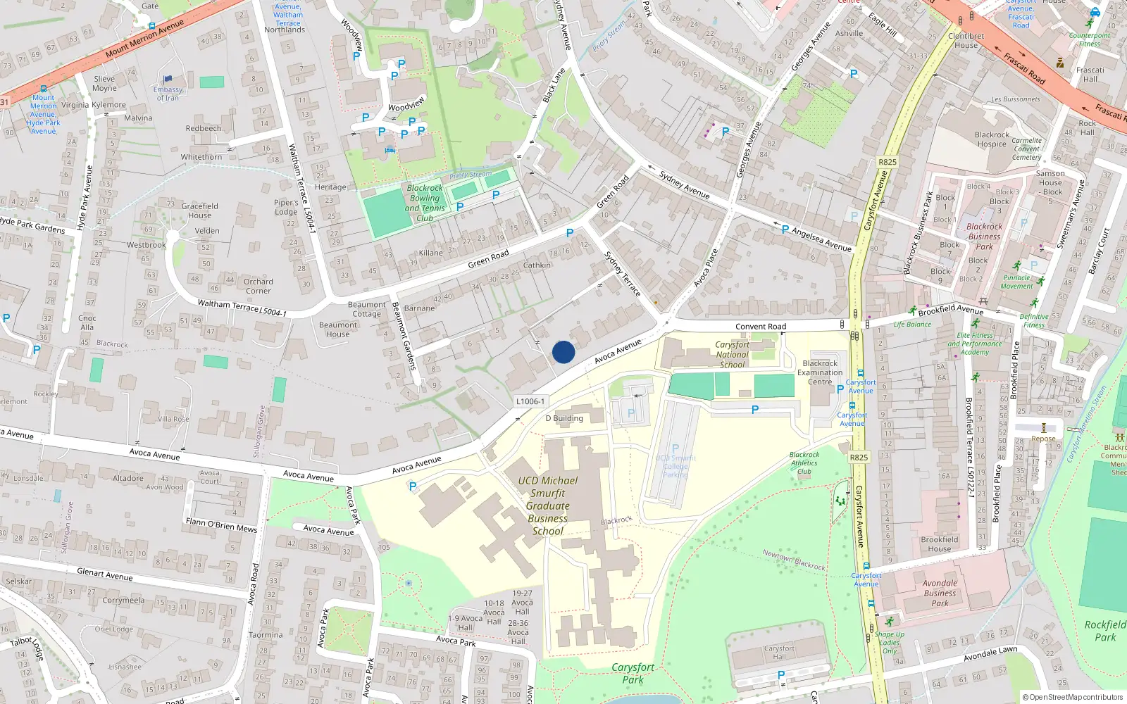 Overhead map showing the location of Blackrock, Dublin, Co. Dublin