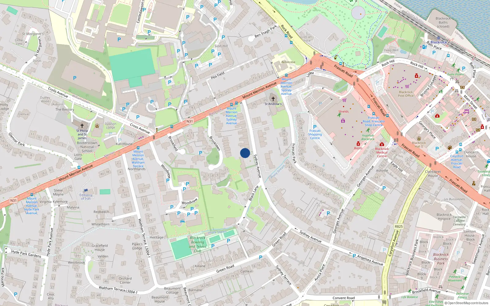 Overhead map showing the location of 36 Sydney Avenue, Blackrock
