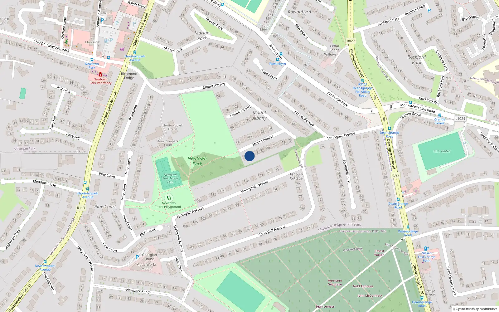 Overhead map showing the location of 84B Mount Albany, Blackrock