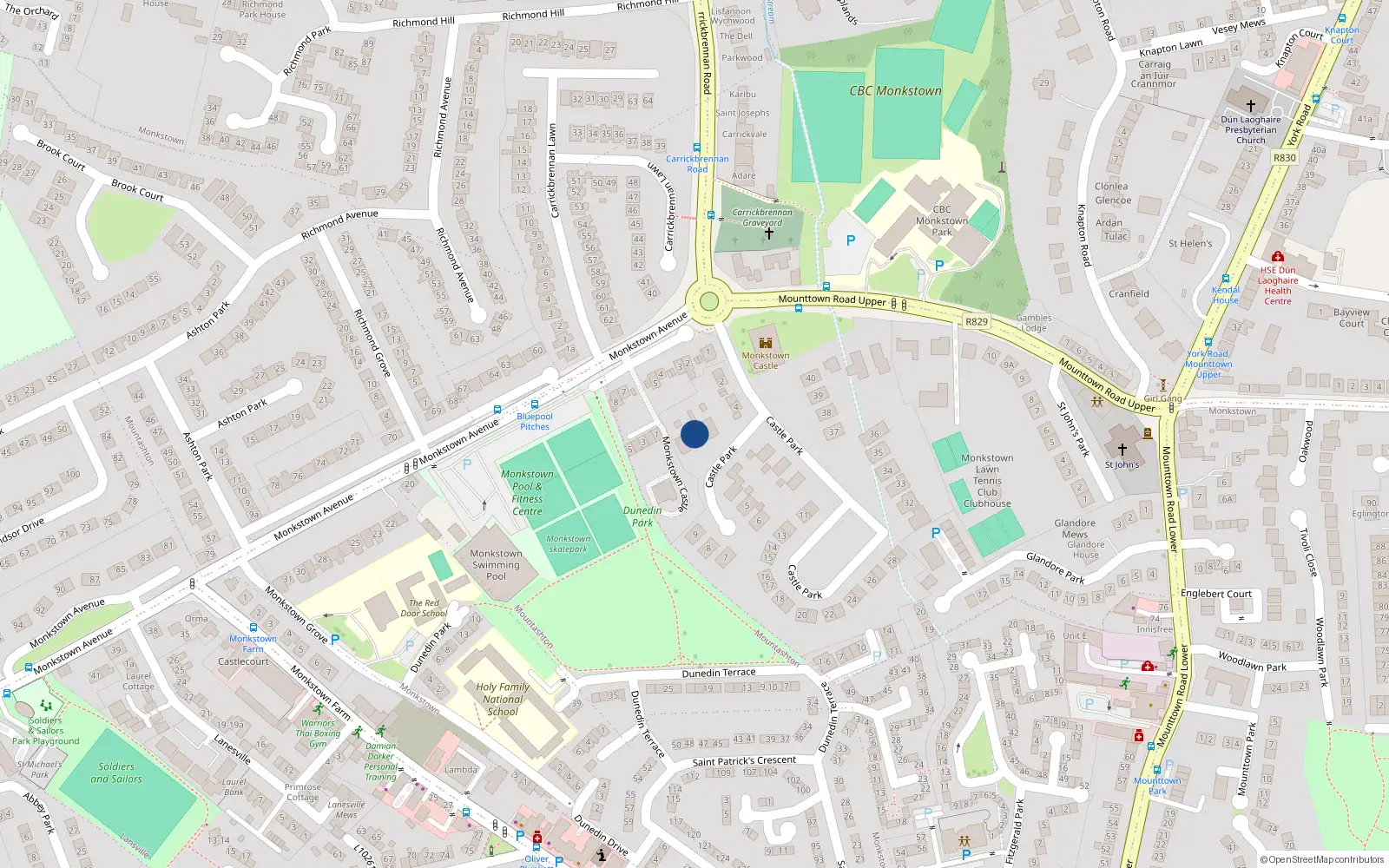 Overhead map showing the location of Castle Park, Monkstown