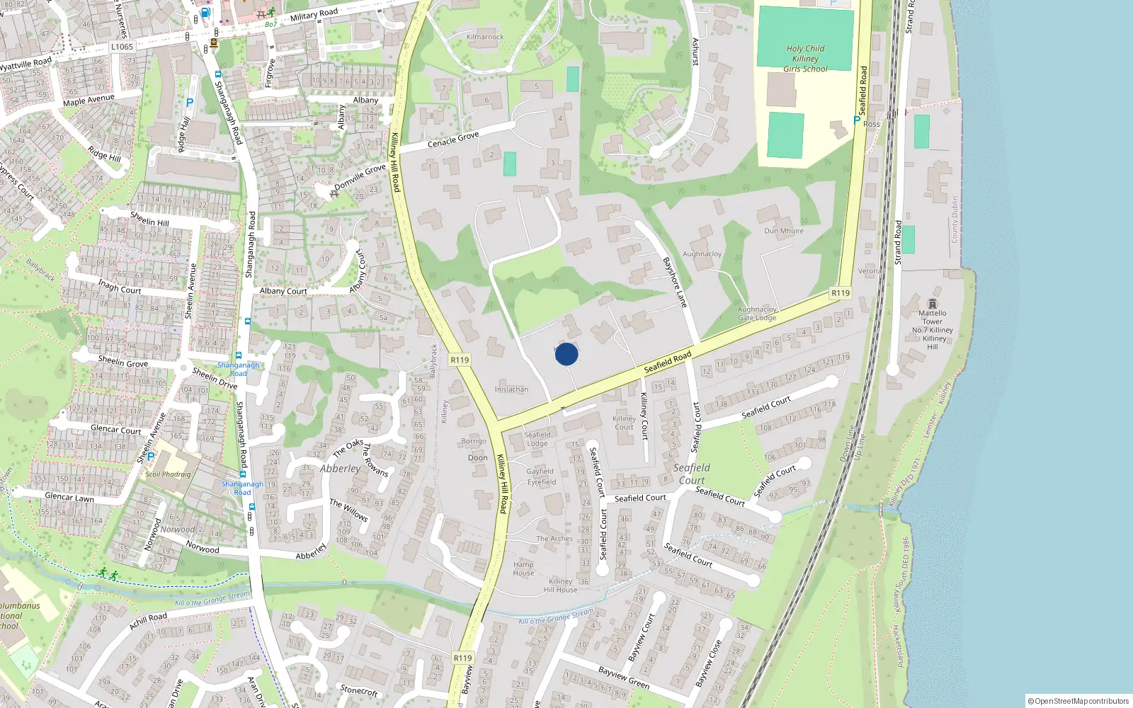 Overhead map showing the location of Seafield Road, Killiney