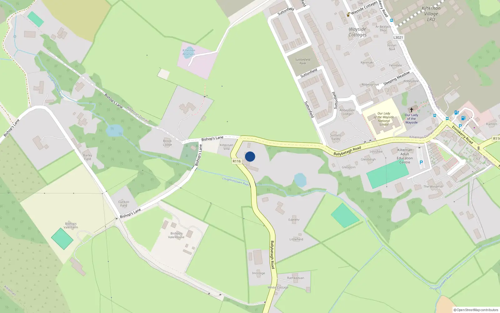 Overhead map showing the location of Ballybetagh Road, Kilternan