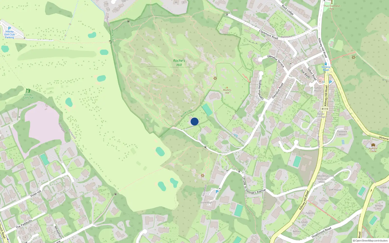 Overhead map showing the location of Glenalua Road, Killiney