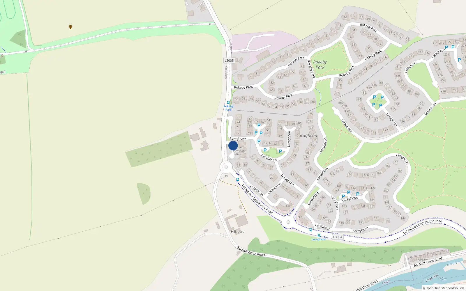 Overhead map showing the location of Mount Pleasant Wood, Lucan