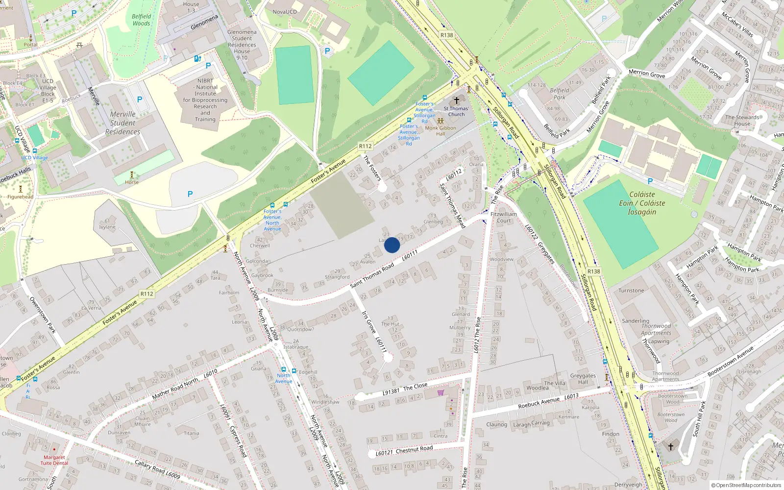 Overhead map showing the location of 21 Saint Thomas Road, Blackrock