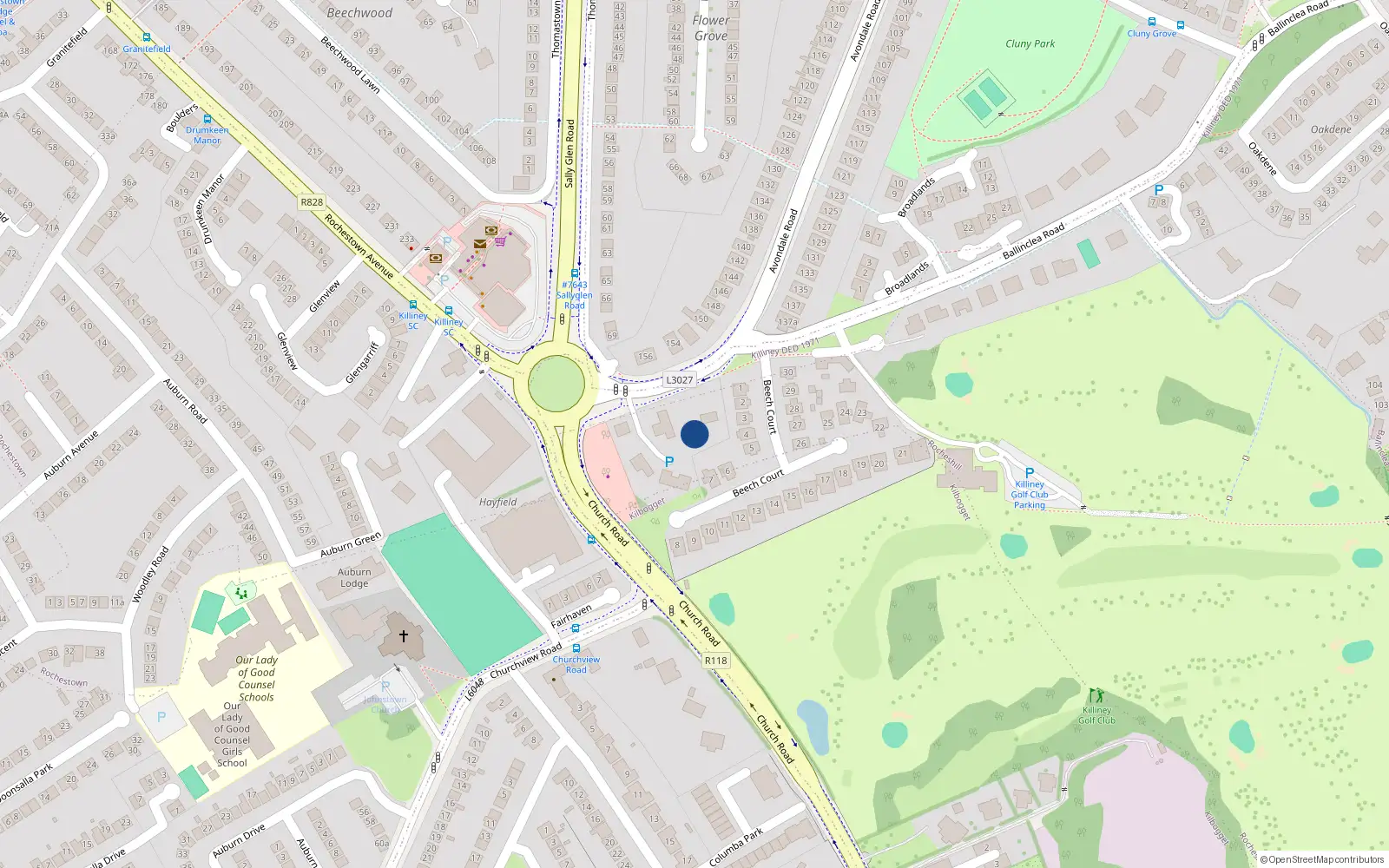 Overhead map showing the location of Avondale Road, Killiney