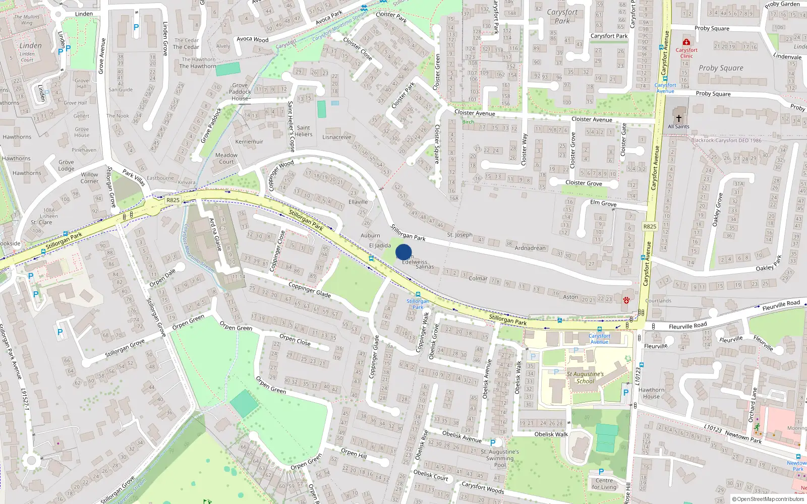 Overhead map showing the location of Stillorgan Park Road, Blackrock