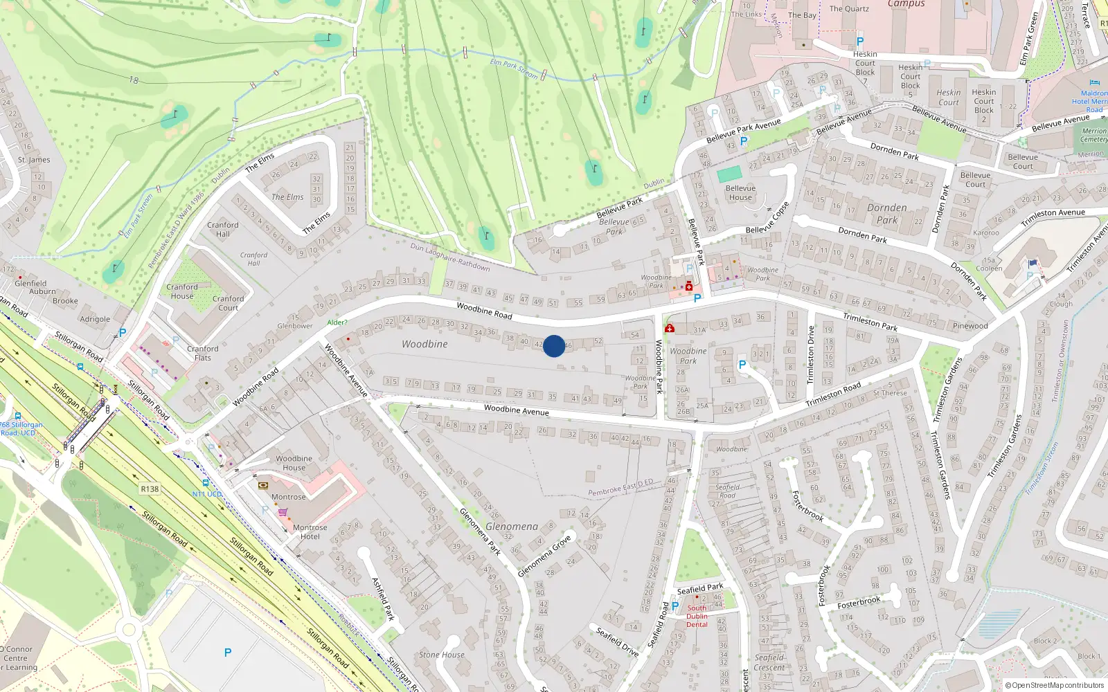 Overhead map showing the location of 44 Woodbine Road, Blackrock