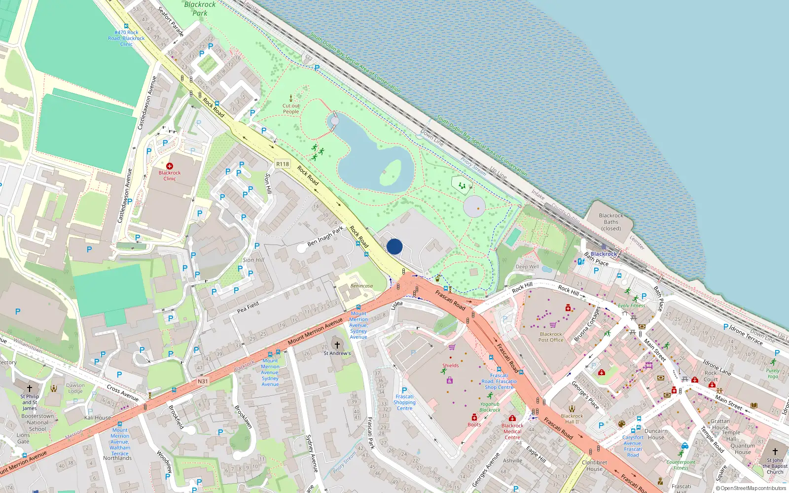 Overhead map showing the location of 1 Rock Road, Blackrock