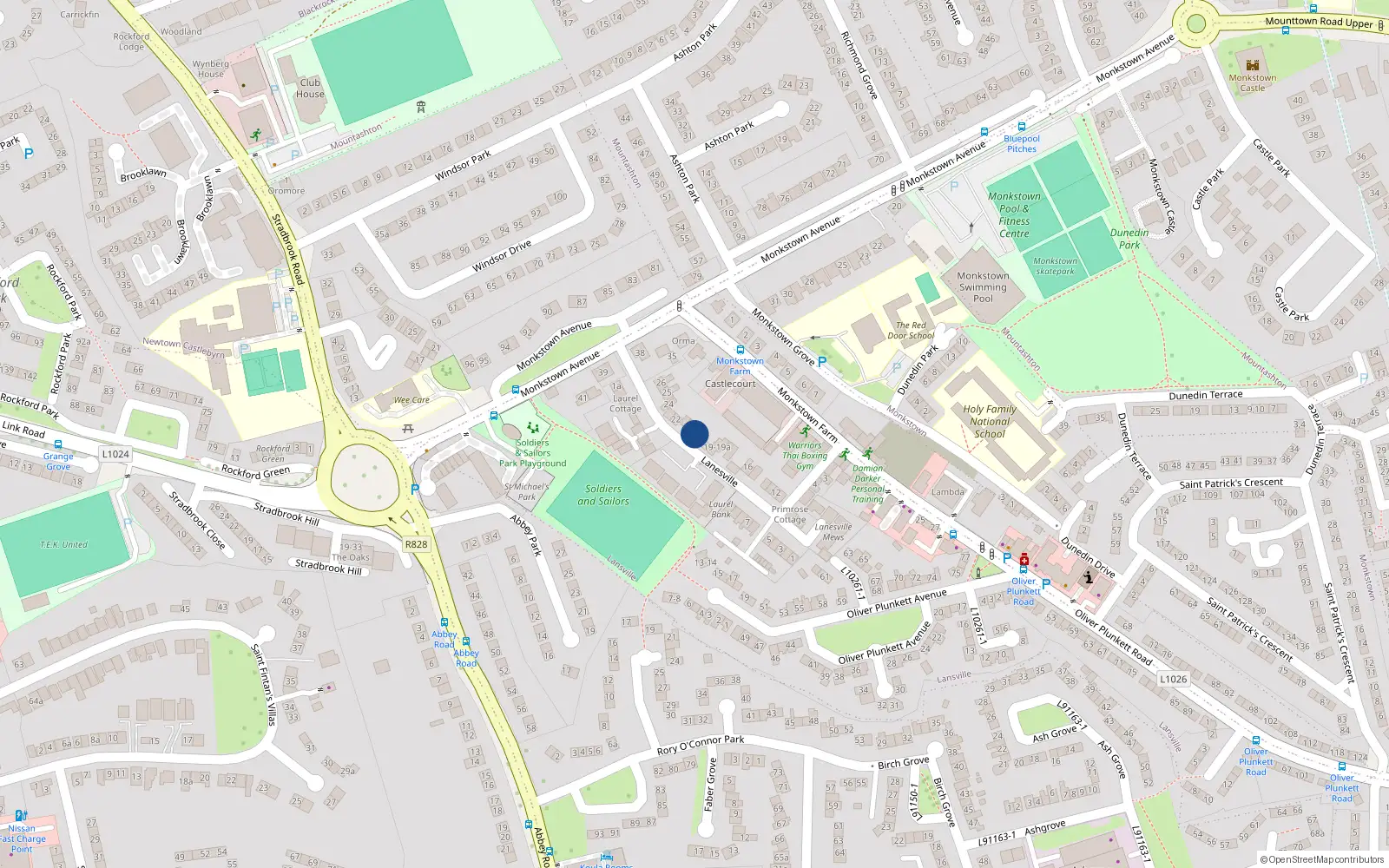 Overhead map showing the location of Longford House, 21 Lanesville, Monkstown