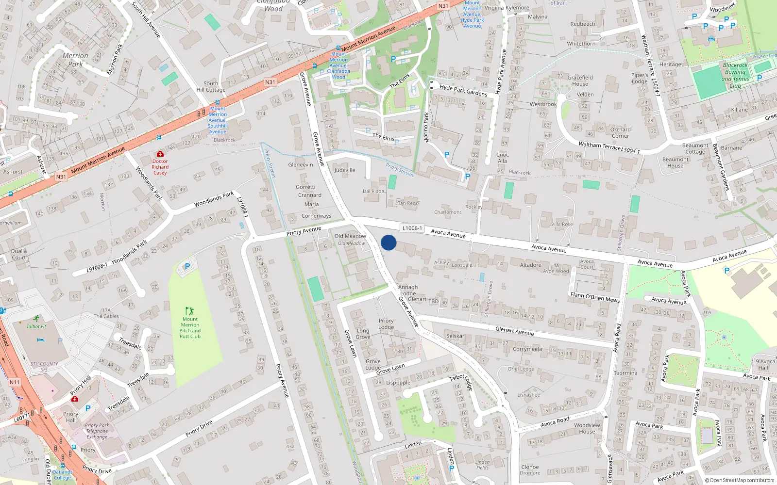 Overhead map showing the location of Avoca Avenue, Blackrock