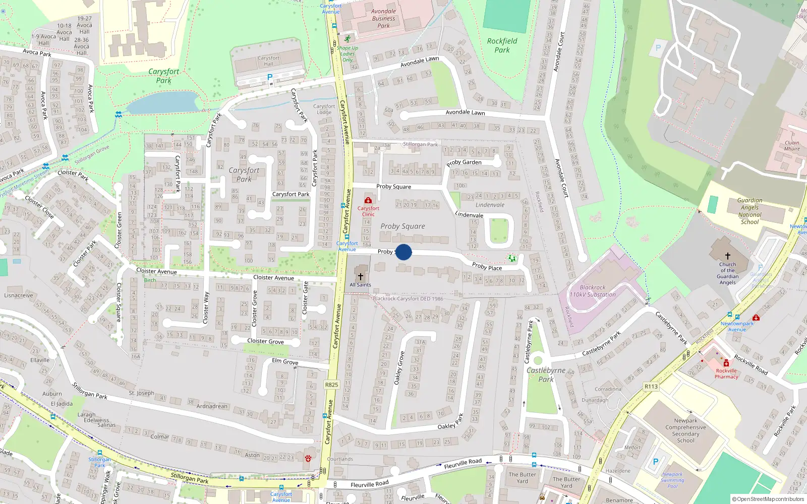 Overhead map showing the location of Proby Square, Blackrock