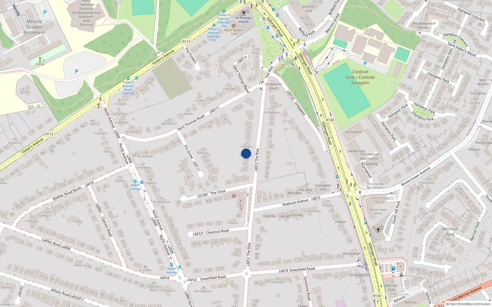Overhead map showing the location of 17 The Rise, Blackrock