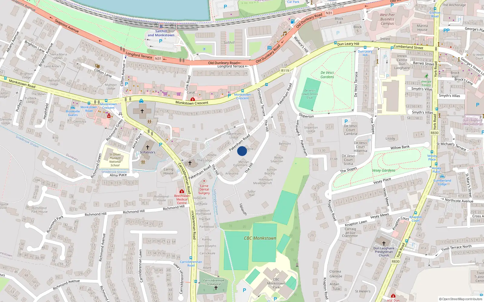 Overhead map showing the location of Pakenham Road, Monkstown