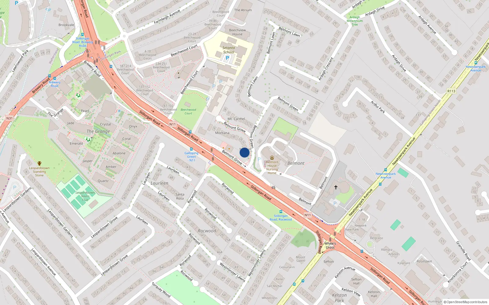 Overhead map showing the location of Belmont Green, Blackrock