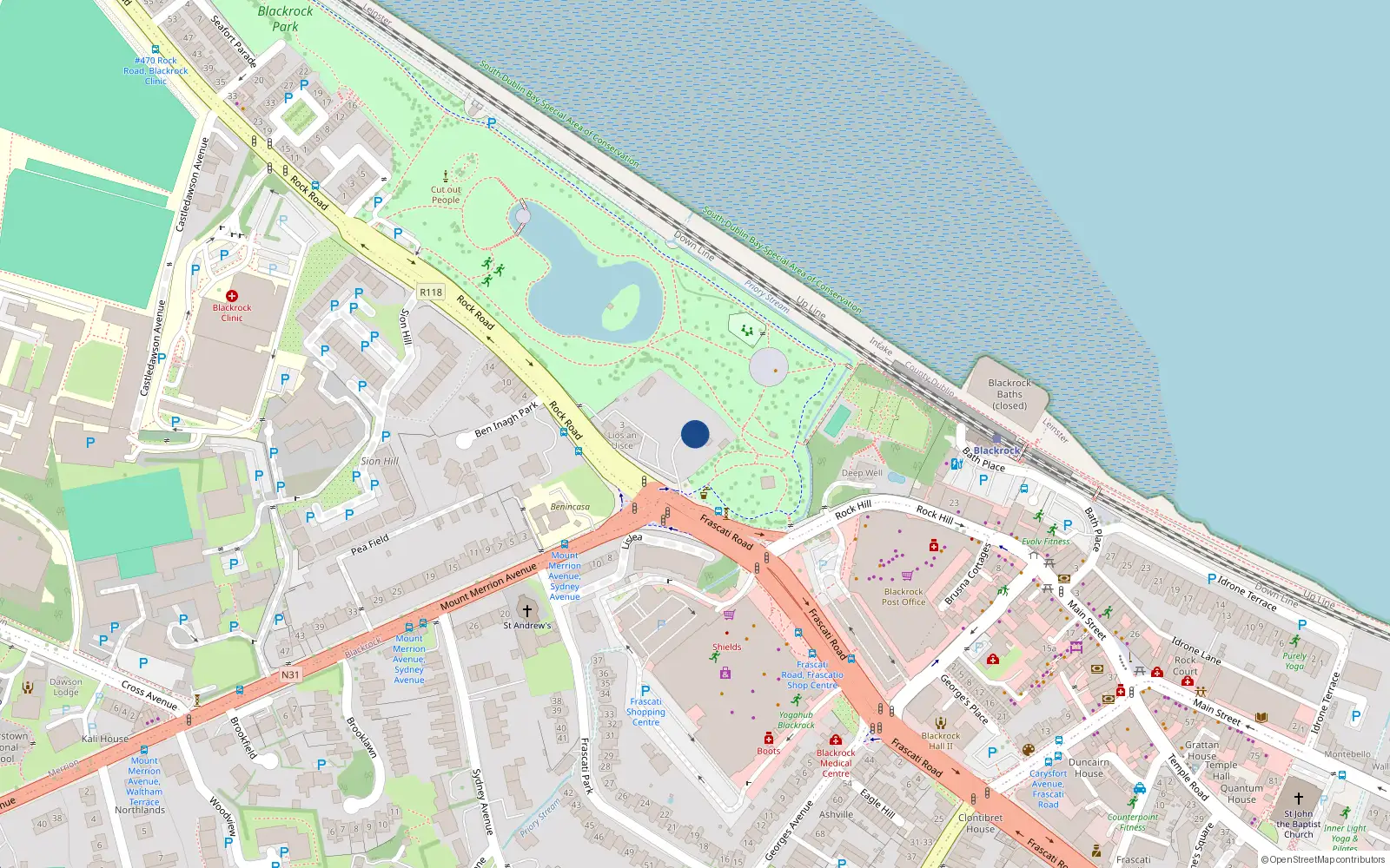 Overhead map showing the location of 1 Rock Road, Blackrock