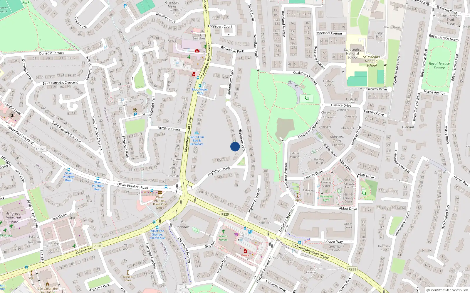 Overhead map showing the location of 19 Highthorn Park, Monkstown
