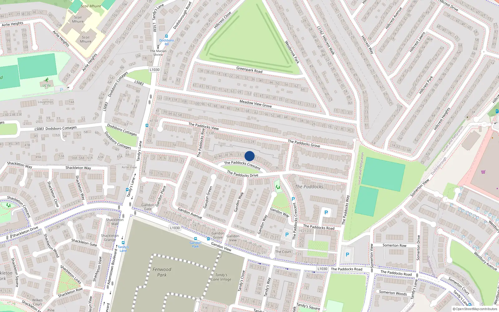 Overhead map showing the location of 29 The Paddocks Crescent, Lucan