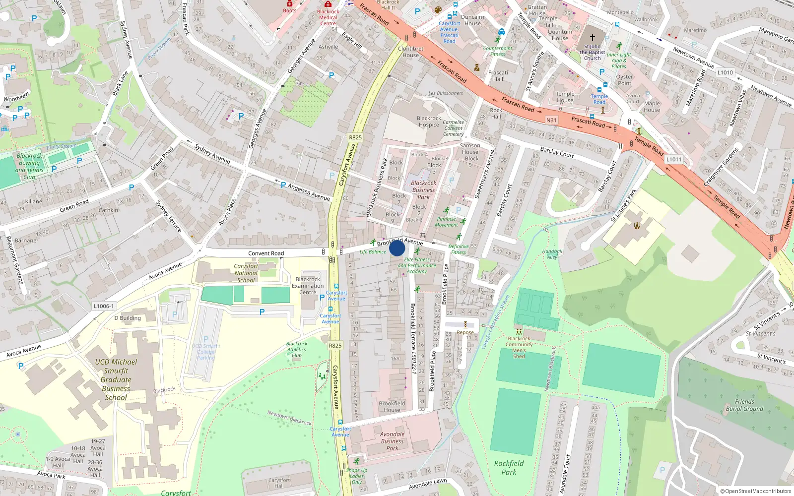 Overhead map showing the location of Orchard Mews, 1A Lower Prince Edward Terrace, Blackrock