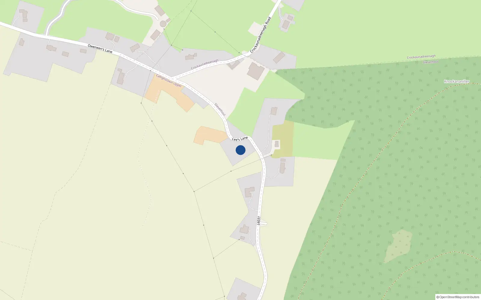 Overhead map showing the location of Plains View, Calliaghstown Upper, Rathcoole, Co. Dublin