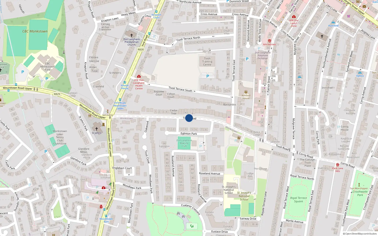 Overhead map showing the location of Tivoli Road, Dunlaoire
