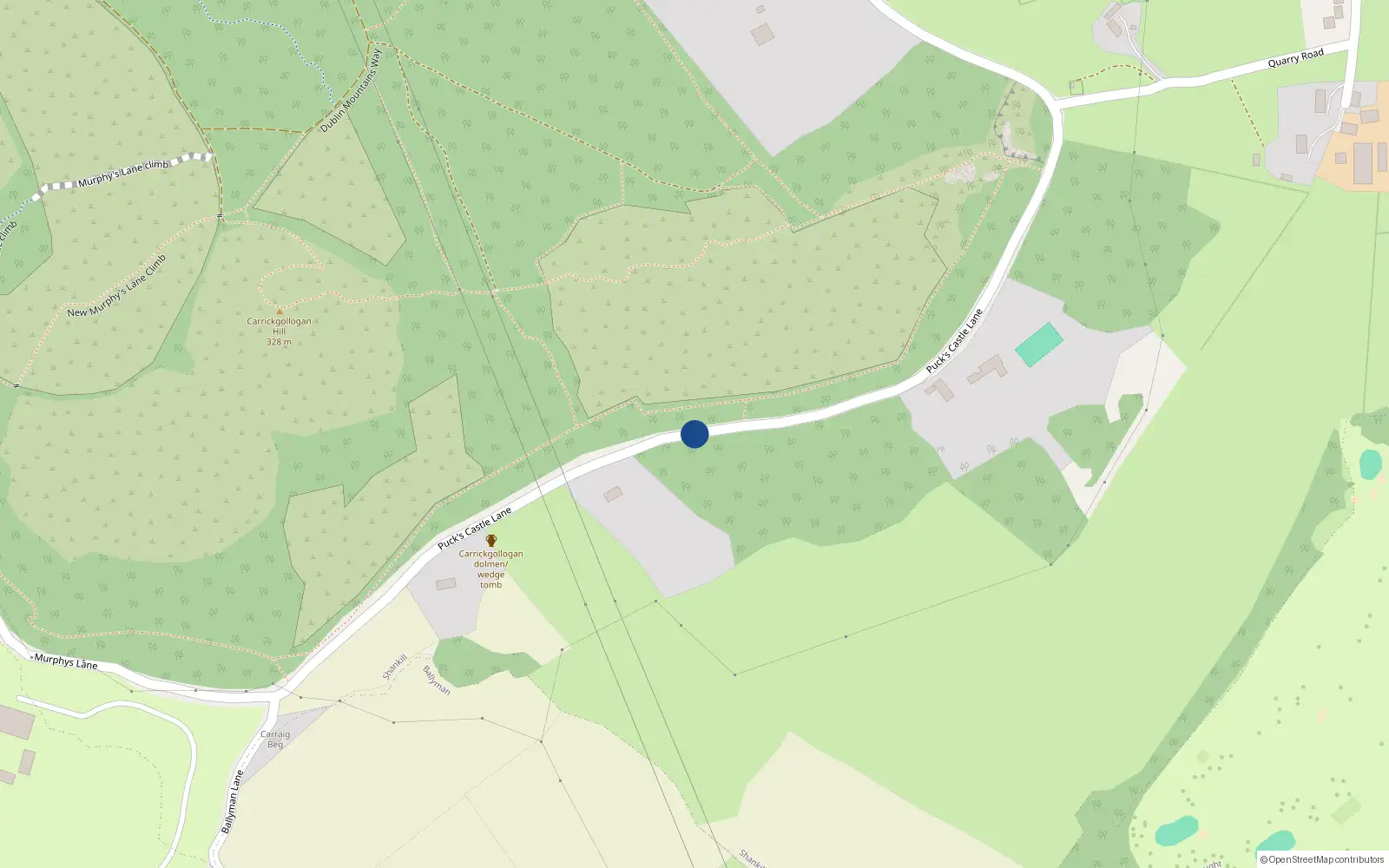 Overhead map showing the location of Puck's Castle Lane, Old Connaught