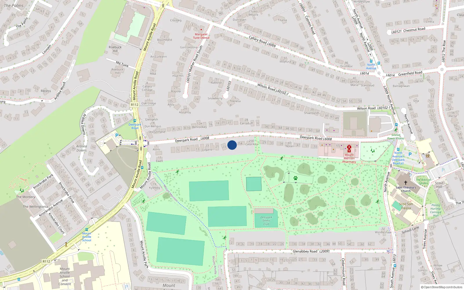 Overhead map showing the location of 25 Deerpark Road, Blackrock