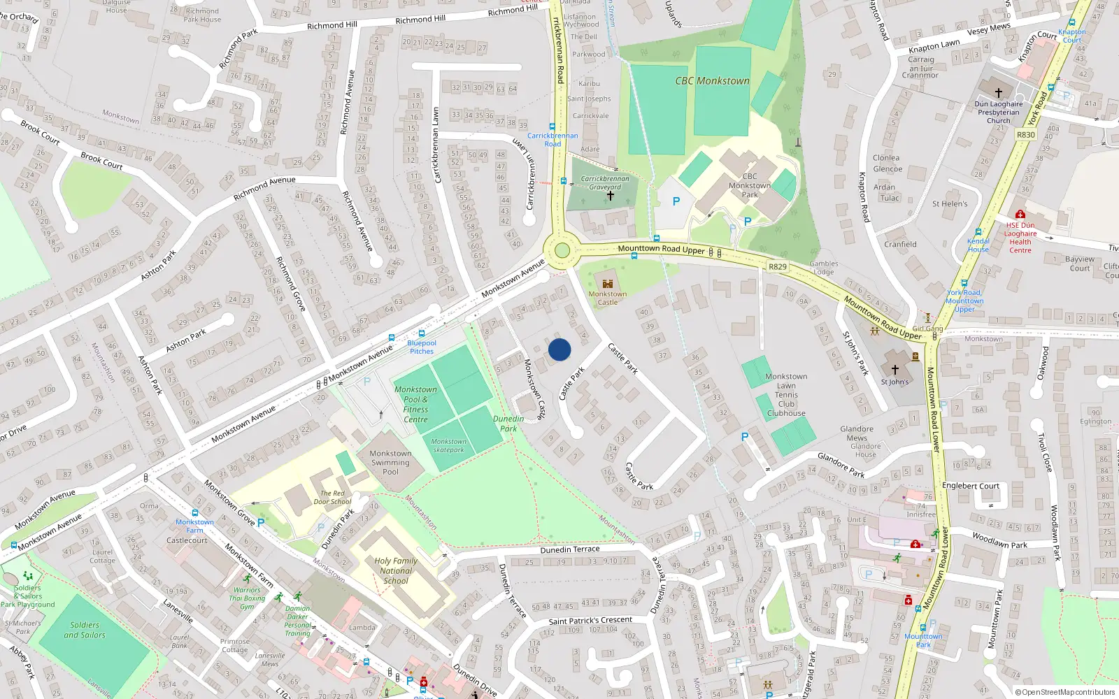 Overhead map showing the location of Castle Park, Monkstown
