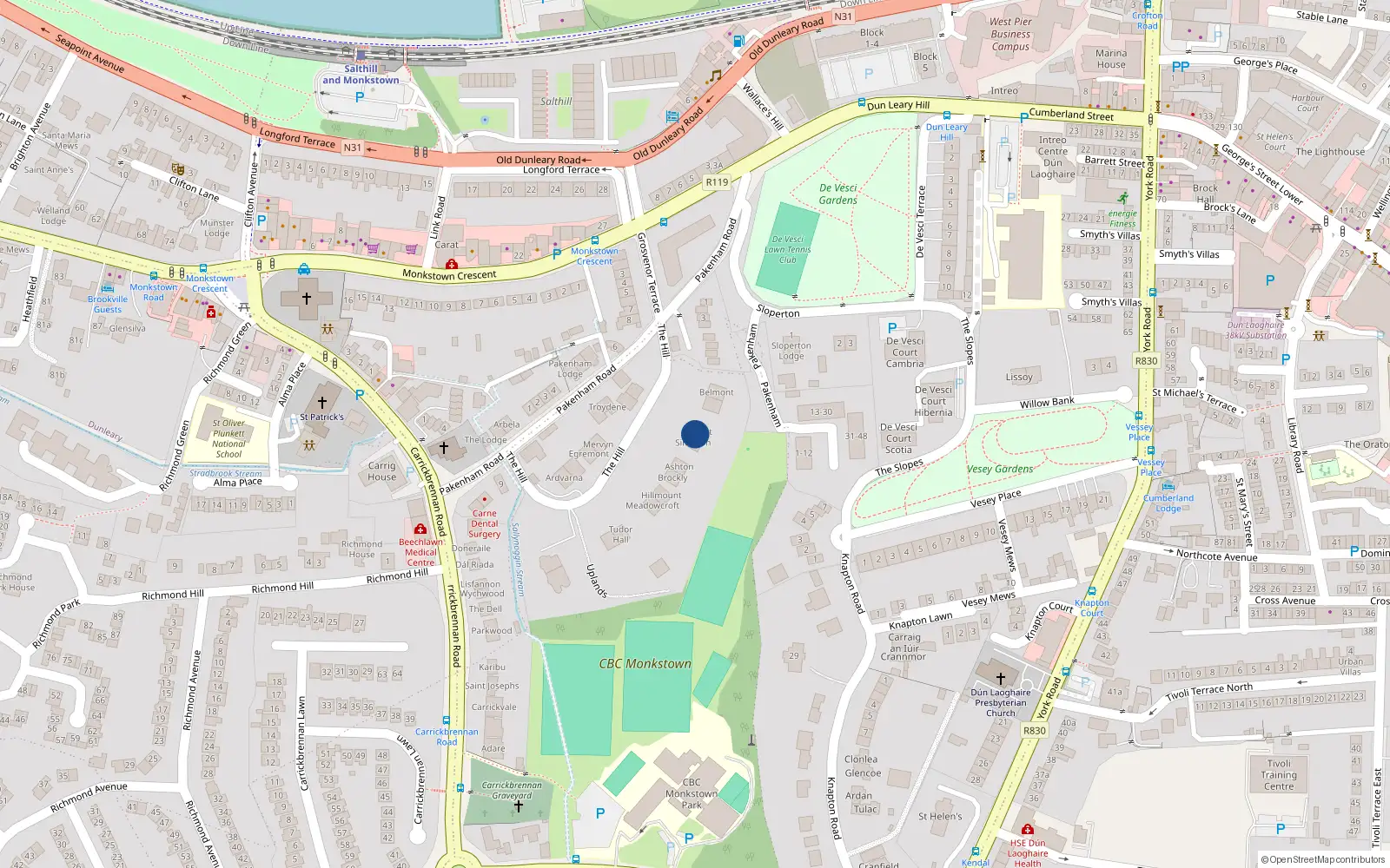 Overhead map showing the location of The Hill, Monkstown